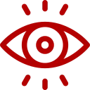 Icon: eye watching - Privacy